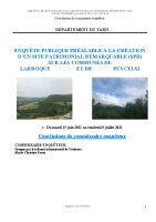 Conclusions SPR Larroque Puycelsi